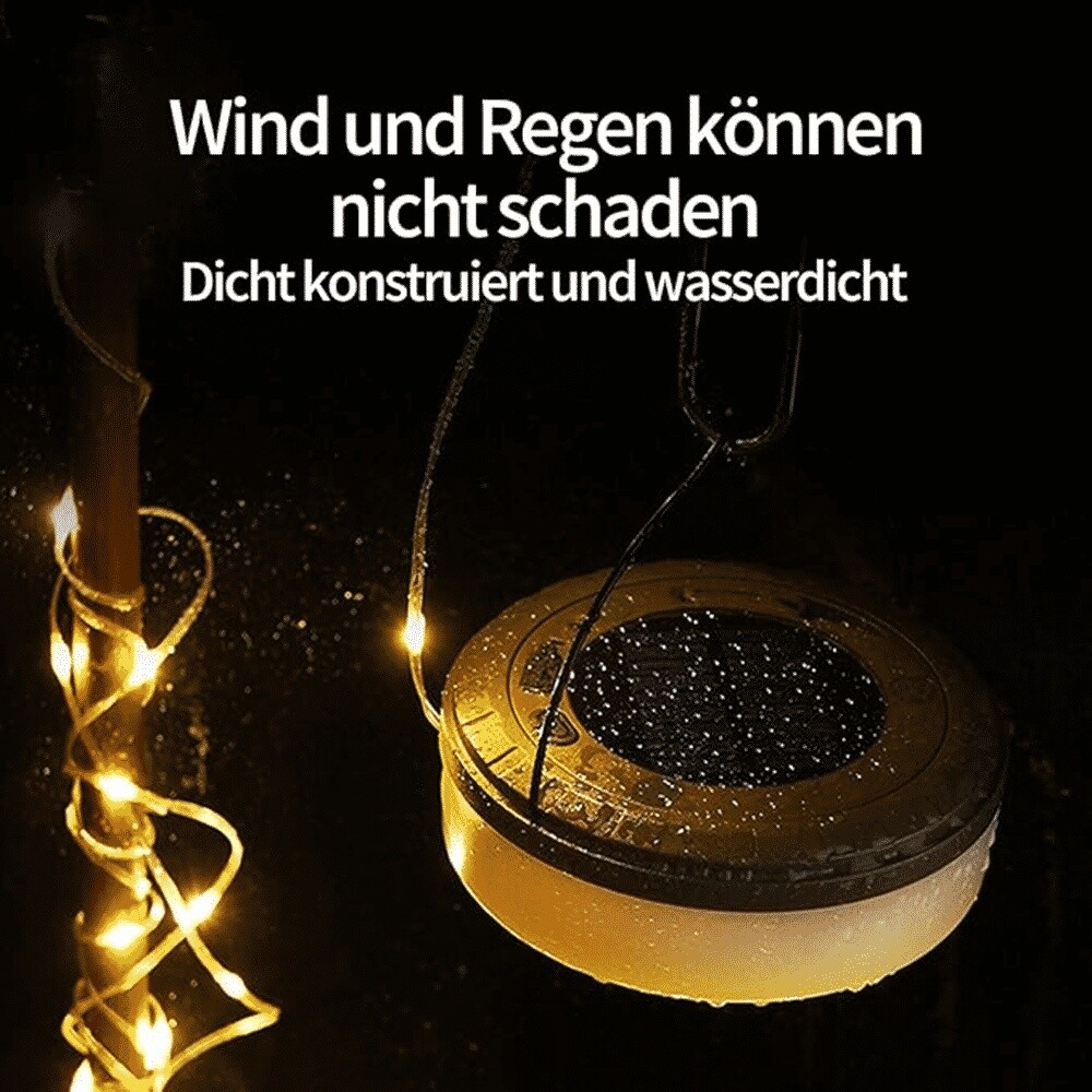 Bild 4 von 16