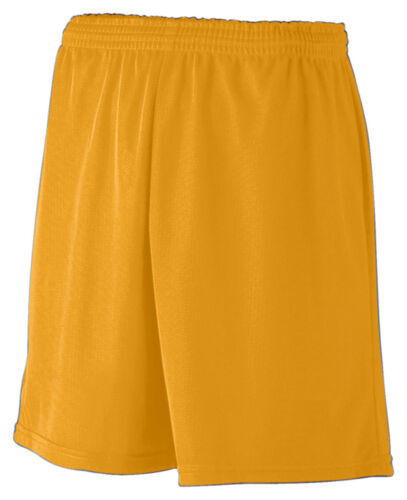 Linee Fitness: Abbigliamento E Intimo Sportivo, Completi Per Palestra