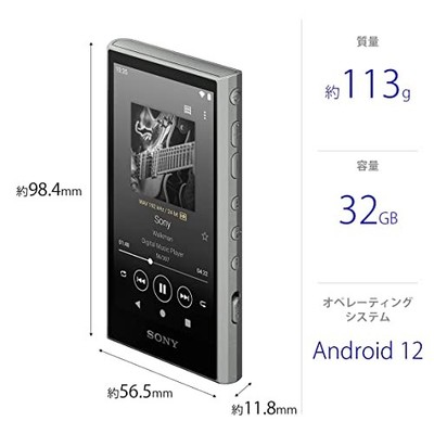 Sony Walkman 32GB NW-A306 HC Gray Wireless A300 Series Audio