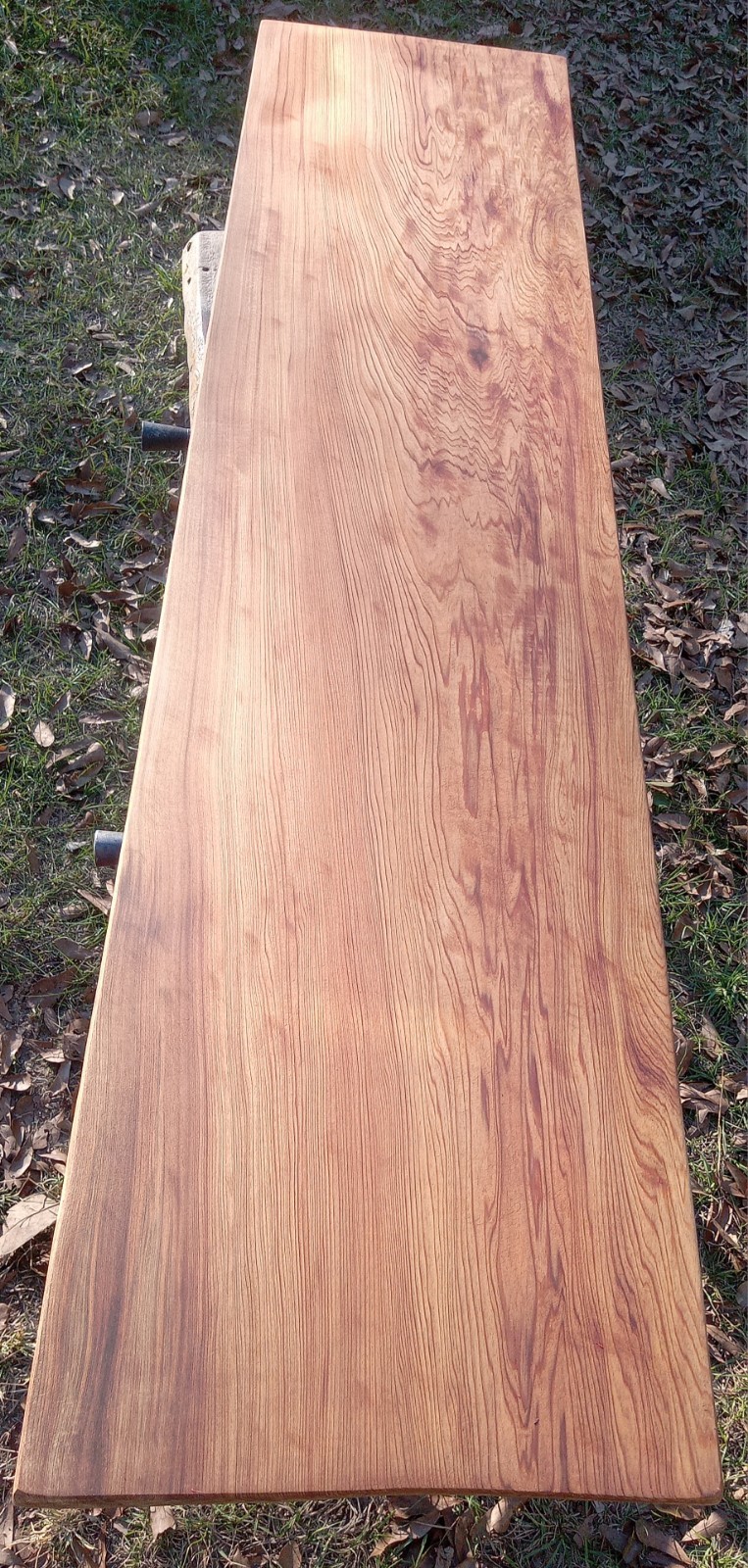 60" Long! Underwater Recovered Table Desk Top REAL Sinker Cypress Craft Wood USA