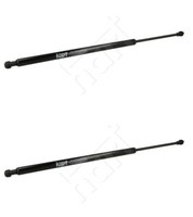 2 X Gasfedern FüR BMW X5 (E53)