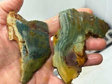 Gary Green Caldera Freedom Jasper Slabs Cabbing Lapidary Combo Ship Avail