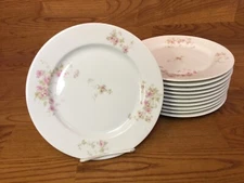 10 Vintage O.P Co. Syracuse China 8 3/4” Luncheon Plates - Excellent 