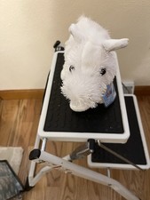 Retired Webkinz American Albino New with Original Sealed Code