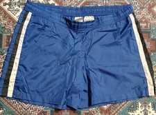 Vintage Y2K Nike Running Shorts Size XS Blue Swoosh Logo