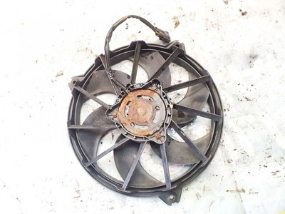 1494742080 Kühlerlüfter Lüftermotor Lüfter 5020329 FOR Citroe