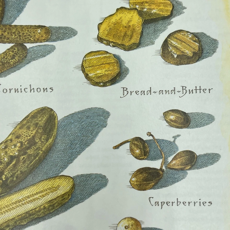 Cooks Illustrated Back Cover Only Kitchen Art John Burgoyne - Pickles Gerkins - Image 2 of 4