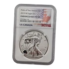 2019 W Pride Of Two Nations Enhanced Reverse Proof Pf70 NGC American Eagle Coin