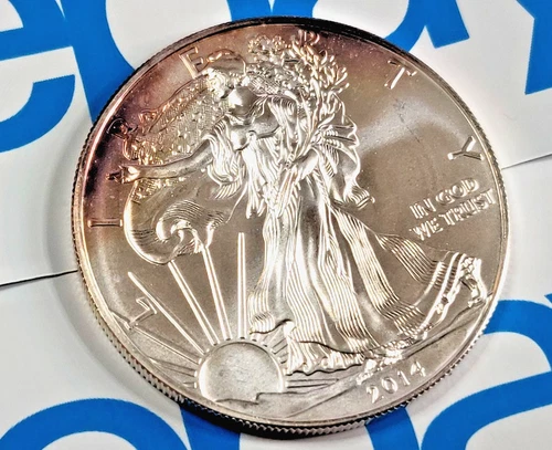 2014 Silver Eagle Kinda HOT but Kinda Messy! Will U Take Her Home To The Folks?