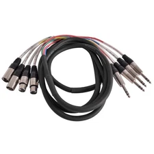 SATXSW-4x10 2-Channel 10-Feet Insert Snake Cable 4 TRS to 2 XLR Male and 2 XL
