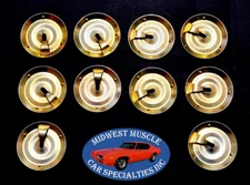 69-81 GM Fender Door Lower Belt Rocker Panel Moulding Molding Trim Clips 10pc IG