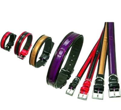 Halsband,Lackleder,Karlie,glänzend,PASSION,Schwarz-gold,60cm,Gr.L-XL,Hund,Neu