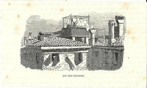 Stampa antica venezia altana terrazzo sui tetti venice 1876 old ... Altana venezia