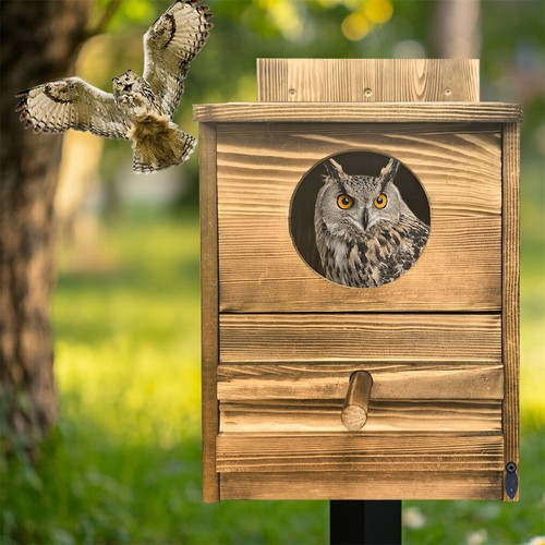 Casa de búho-caja de madera para búho casas para exteriores adecuadas para anidar búho de granero - Imagen 3 de 16