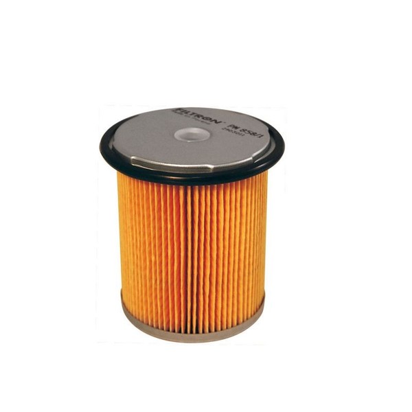 Filtron PM 858/1 Kraftstofffilter FüR CitroËN Passend FüR Fiat Lancia-image