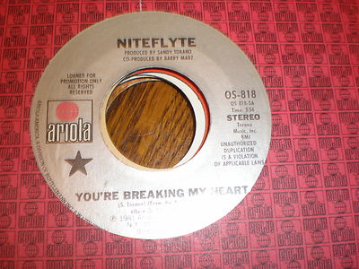 niteflyte you are 45 mono stereo｜niteflyte you are 45 mono stereo