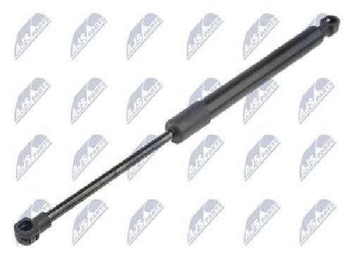 Original NTY Gasfeder Motorhaube AE-RE-065 FüR Renault-image
