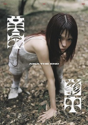 New Aina the End On The Way MV+Live Edition CD Blu-ray AVCD-61575B Japan 77