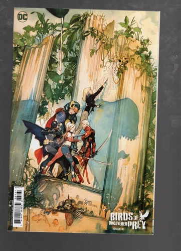 Birds Of Prey Uncovered #1 (2023) VF/NM 1:25 Tocchini Variant DC Comics