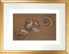 André DUFFOUR (1926-2016)