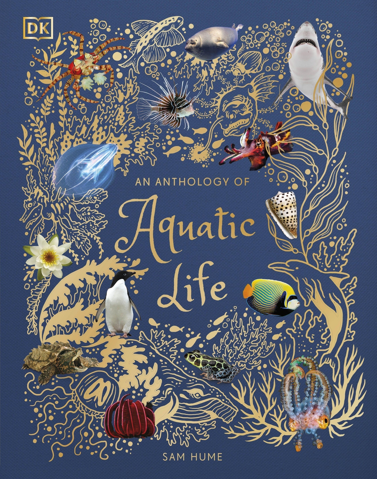 Thumbnail - An Anthology Of Aquatic Life Sam Hume Buch Dk Children's Anthologies