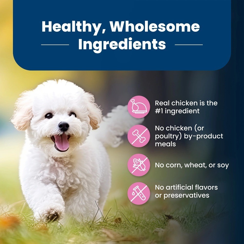 Small Breed Dry Dog Food Chicken & Brown Rice Recipe for Lifelong Health 5 lb