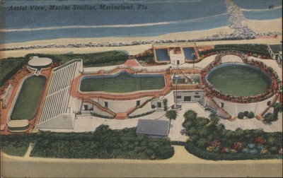 Aerial View,Marine Studios,Marineland,FL Tichnor St. Johns,Flagler County