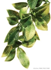 EXO TERRA MANDARIN JUNGLE PLANT - LARGE