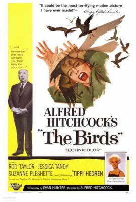 THE BIRDS Movie POSTER 27 x 40 Rod Taylor, Jessica Tandy, A