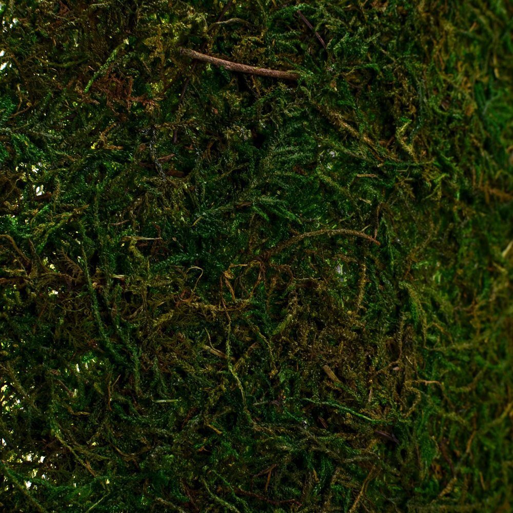 Dried Moss Table Runner for Party Garden Decoration Dark Green 30cm X 180cm  ...