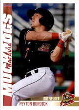 2019 Batavia Muckdogs Choice #3 Peyton Burdick Batavia Ohio OH NM Baseball Card
