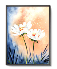  on The Hot Collector