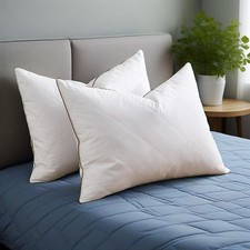 2PCS Soft to Medium Support Feather Bed Pillows King or Queen, Anti Feather Poke