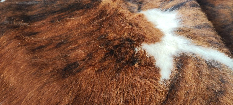 Cowhide Rug Tricolor High Quality Hair on Hide Size: Large(L)AX103 - Image 4 of 4