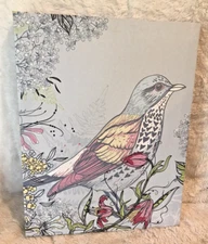 Robin Bird Picture on Stretched Canvas, Wall Art, Ready to Hang 11"x14"