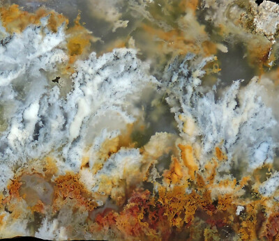 SSNW PINK LADY PLUME AGATE SLABS ~ gorgeous cabbing slices ~ fresh diggin's