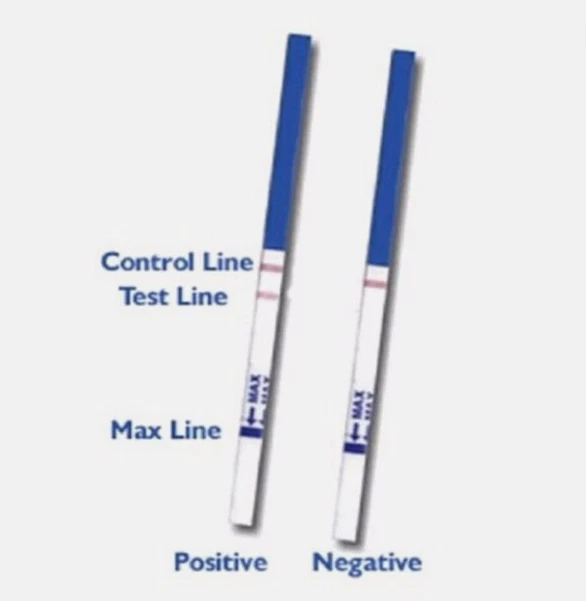 100 Ovulationstest Streifen 10miu/ml LH Eisprung Ovulation Test Damen Fruchtb DE - Bild 4 von 4