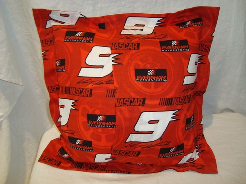 NASCAR #9 Kasey Kahne Evernham 14" Cotton Fabric Throw Pillow/Cover/Washable - Imagen 2 de 2