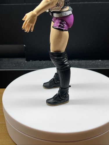 2014 WWE WWF Mattel Paige Elite Women Wrestling Figure Series 34 Diva NXT titles - Bild 17 von 21
