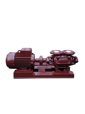 Kreiselpumpe Apollo 3KSEY32-02 Hauswasserwerk Gartenpumpe Wasserpumpe Druckpumpe