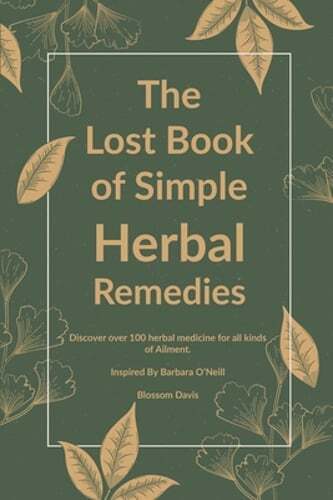 The Lost Book of Simple Herbal Remedies: Discover over 100 herbal Medicine for - Afbeelding 1 van 1