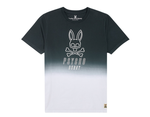 Psycho Bunny KIDS Fairbanks Crew Neck Tee SIZE XXS/4 - Picture 1 of 2