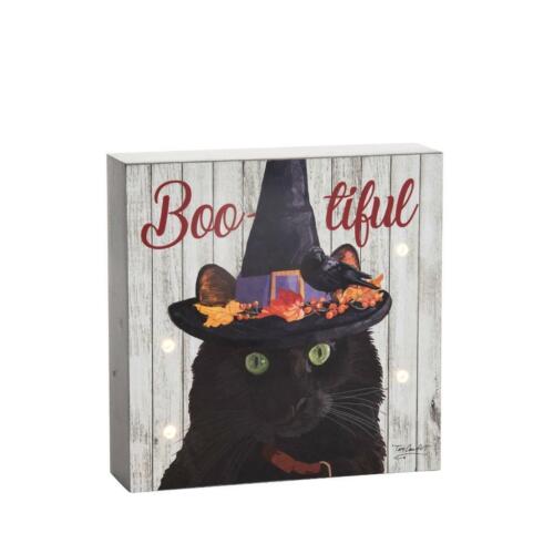 Schwarze Katze in einer Hexe Hut Halloween Thema LED beleuchtet Wandregal Dekorationsbox - Bild 1 von 1