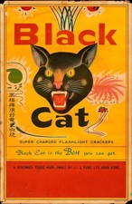 Black Cat Fireworks Iron On Transfer - T-Shirt + Other Light & Dark Fabrics #1