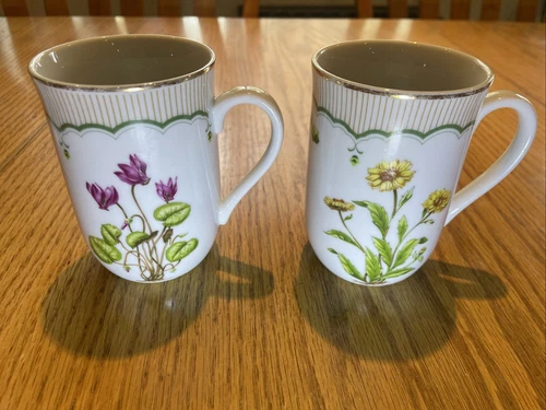 Set of 2 Vintage Georges Briard Floral Cups Victorian Botanical Garden