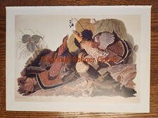 Audubon Ruffed Grous Grouse Tetrao Bonasa Umbello póster página placa de impresión (41)