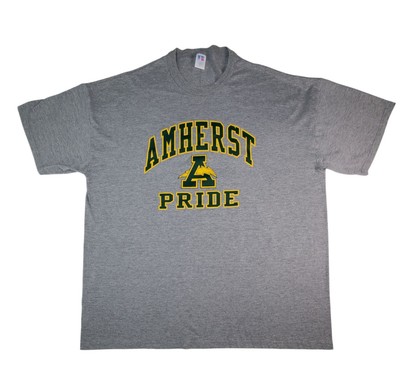 Amherst Steele Comets Ohio OH High School Logo T-Shirt Men's Size XXL Gray Tee 