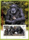 B0938 - Sierra Leone - Error Misperf Stamp Sheet - 2022 - Mammals, Chimpanzee