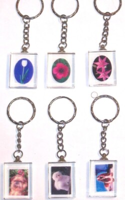 LOT OF 6,12---  PICTURED IN GLASS ''RANDOM DESIGN  KEYCHAIN  KEYRING--KC2713B