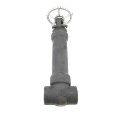 DIXON EAGLE API602CL800 1975PSI 2'' NSNP